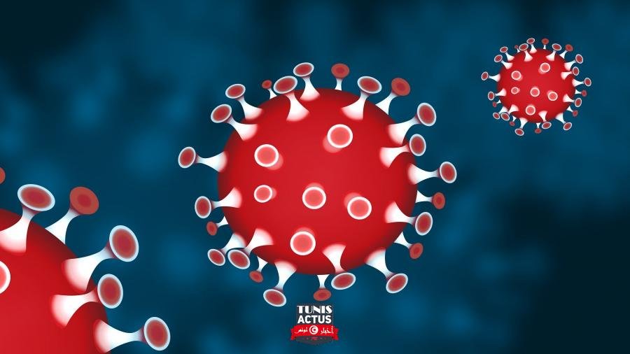 منذ انتشار الوباء: 11 دولة فقط نجت من فيروس كورونا