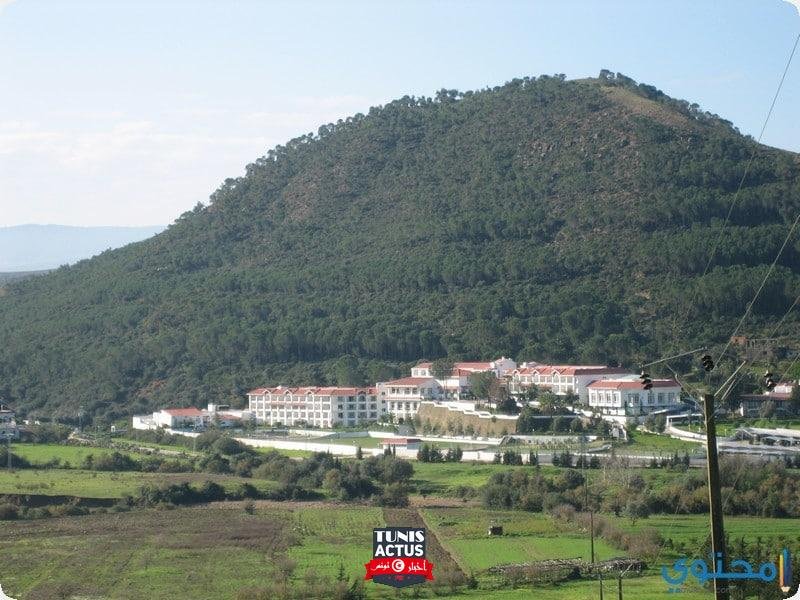 السياحة العلاجية والاستشفائية في تونس