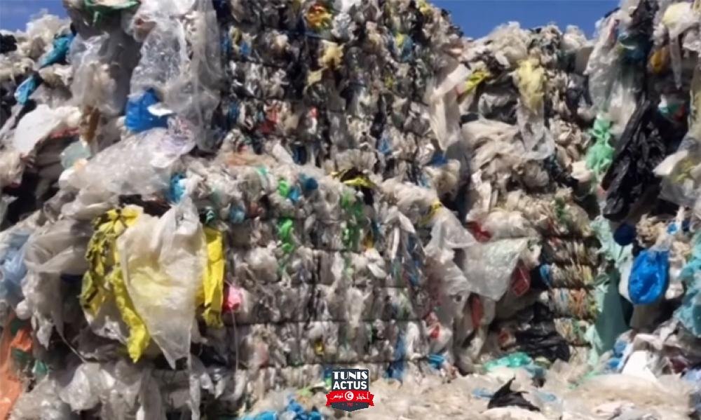 فضيحة النفايات الايطالية: دعوة إلى تشريك القضاء ومحامين مختصين لإرجاع الحاويات إلى مصدرها بعد انقضاء الآجال القانونية