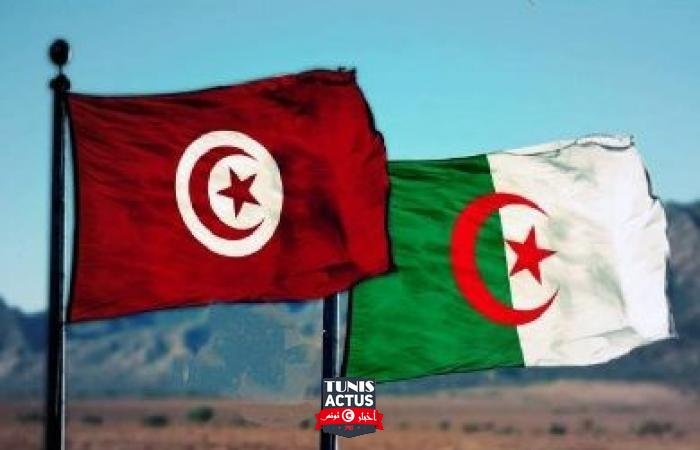 وزير خارجية تونس: الجزائر تعهدت باقتسام اللقاحات مع تونس فور استلامها بالبلدي