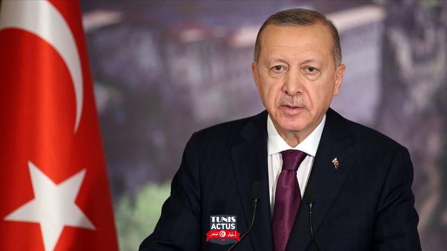 تركيا: اردوغان يؤيد صياغة دستور جديد