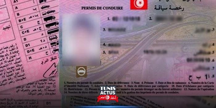 قريبا عودة العمل بمنظومة رخصة السياقة ذات النقاط