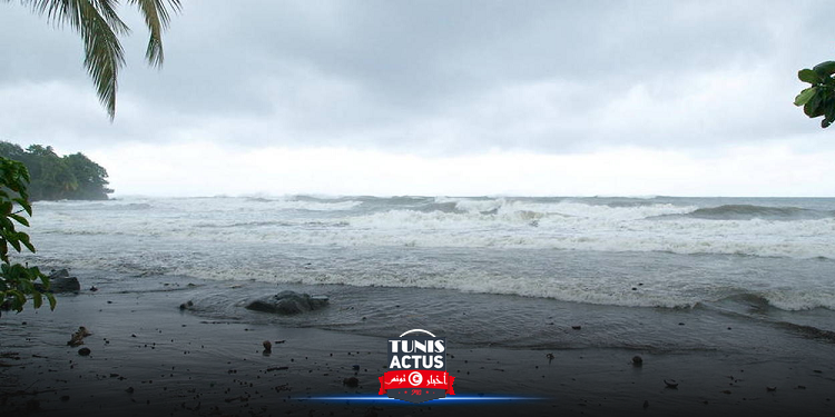 أمواج تسونامي بعد زلزال بقوة 8.1 قبالة نيوزيلندا