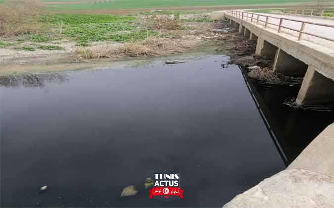 الشركة التونسية لاستغلال و لتوزيع المياه تنفي و القمودي يؤكد