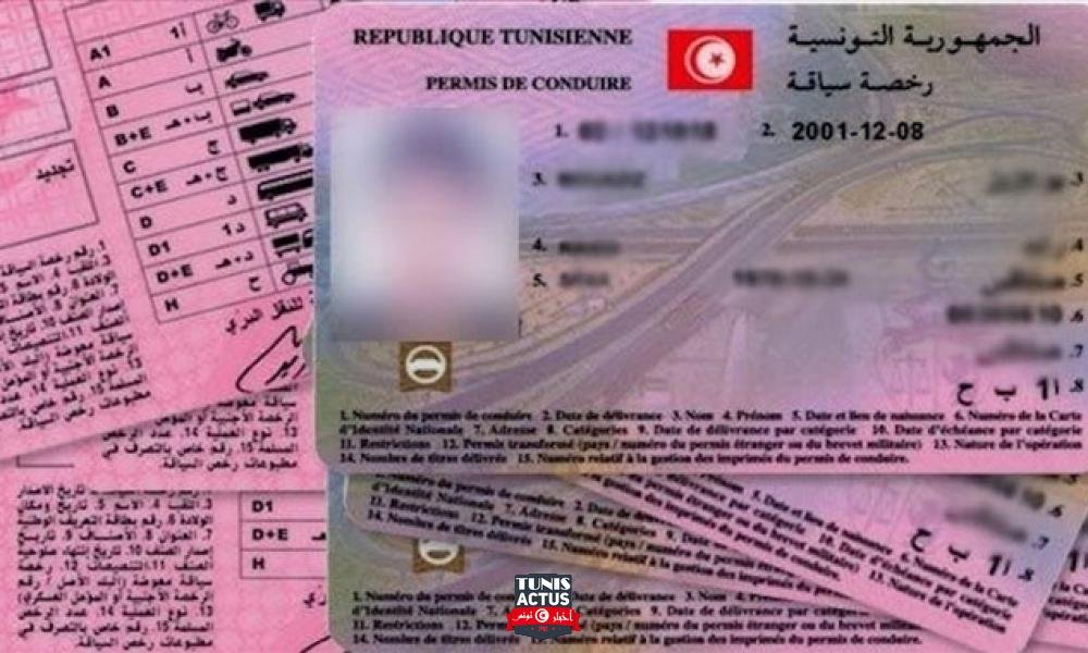 المرصد الوطني لسلامة المرور يدعو إلى الإسراع بالنظر في مشروع الأمر الحكومي المتعلق برصيد نقاط رخصة السياقة والمصادقة عليه