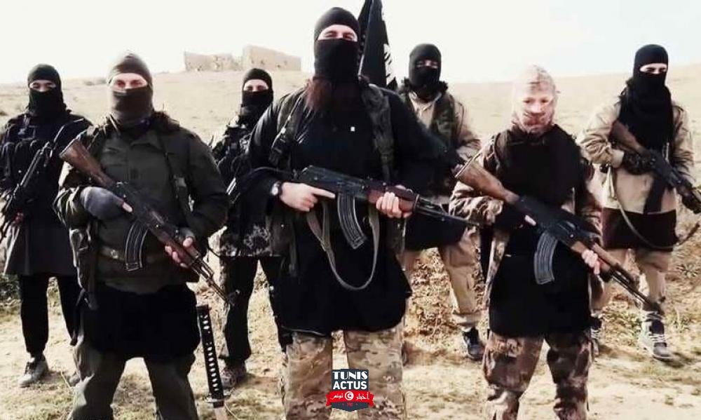 تنظيم "داعش" يعلن سيطرته على مدينة في موزمبيق