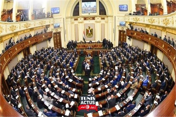 صناعة النواب: رؤية جديدة لحل مشكلات متراكمة منذ 10 سنوات وإزالة المعوقات