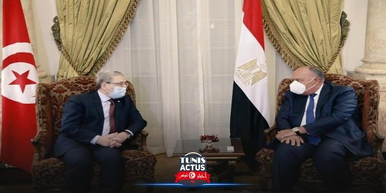 وزير الخارجية يجري مباحثات ثنائية مع نظيره المصري في القاهرة