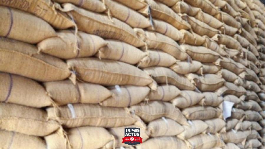 عبد الفتاح سعيد: إيقاف حصص الدعم لمصانع ومقترح بتحرير توريد مواد علفية