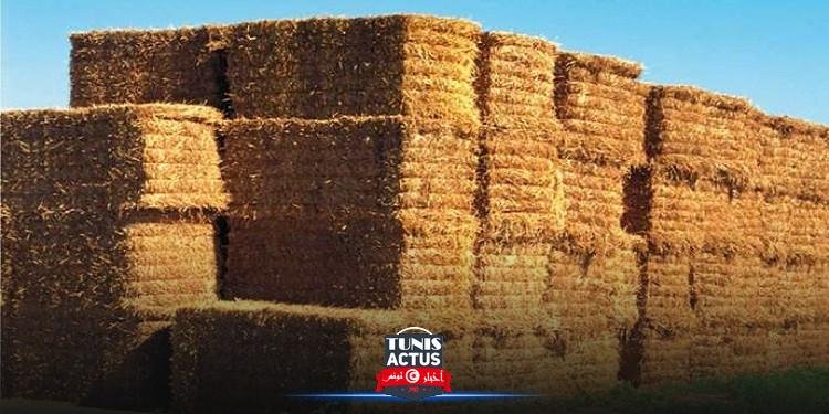 تكوين لجنة فنية مشتركة لإصلاح قطاع الاعلاف على مستوى الأسعار والجودة