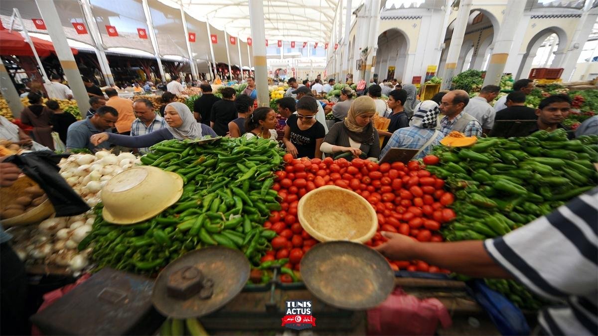 تونس مهددة بـ"السيناريو اللبناني" – إرم نيوز