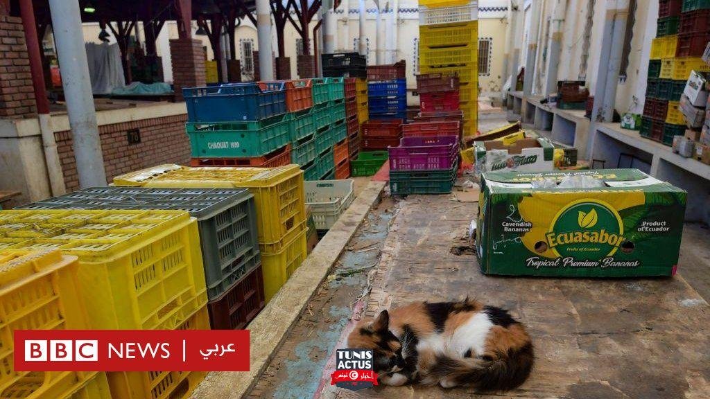 فيروس كورونا: غضب و"عصيان" في تونس لفرض الحكومة إغلاقا تاما لمدة أسبوع