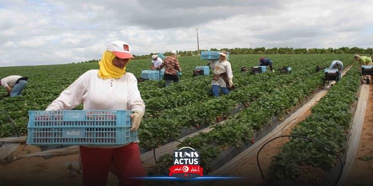 توزر: قريبا احداث أوّل مجمع تنمية فلاحي نسائي