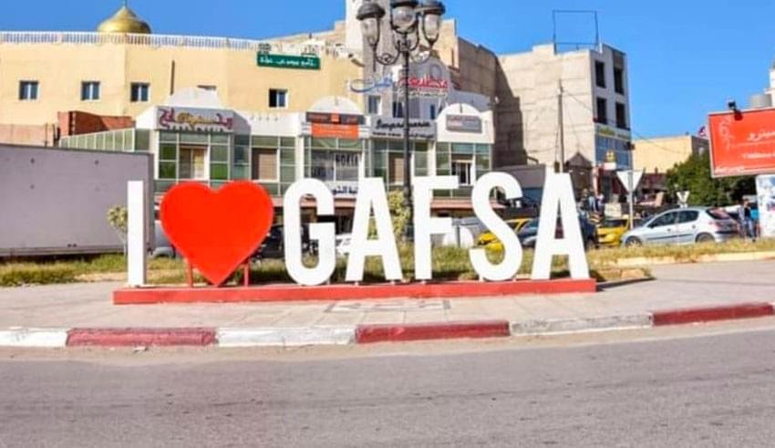 قفصة.. مندوبية الفلاحة تؤكد سلامة قطيع الابقار