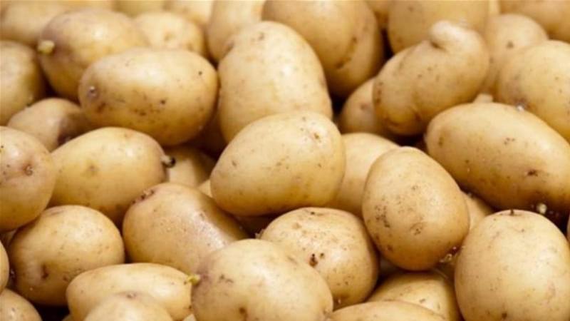 بنزرت.. حجز 1.2 طن من البطاطا