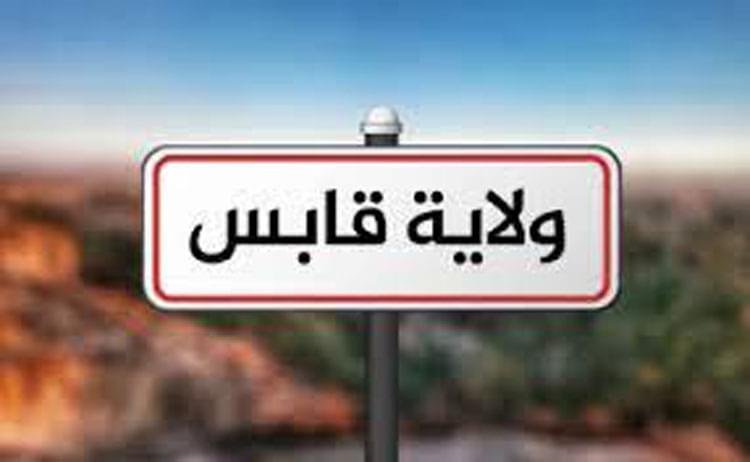 قابس.. توسّع غراسات الزيتون السقوي بمنزل الحبيب إلى حوالي 15 ألف هكتار قابس.. توسّع غراسات الزيتون السقوي بمنزل الحبيب إلى حوالي 15 ألف هكتار