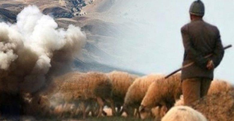 القصرين.. إصابة راعي أغنام إثر انفجار لغم بجبل الشعانبي القصرين.. إصابة راعي أغنام إثر انفجار لغم بجبل الشعانبي