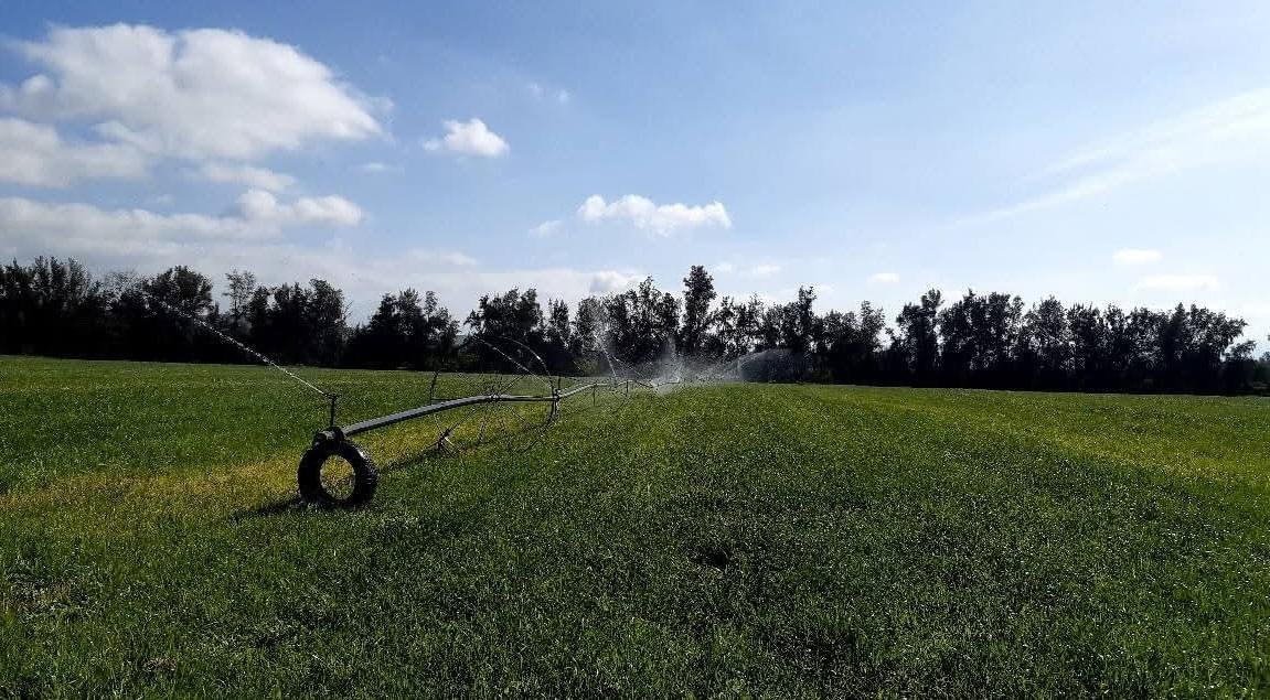 القيروان.. أمطار ديسمبر تنعش الآمال وتبشّر بموسم فلاحي واعد القيروان.. أمطار ديسمبر تنعش الآمال وتبشّر بموسم فلاحي واعد